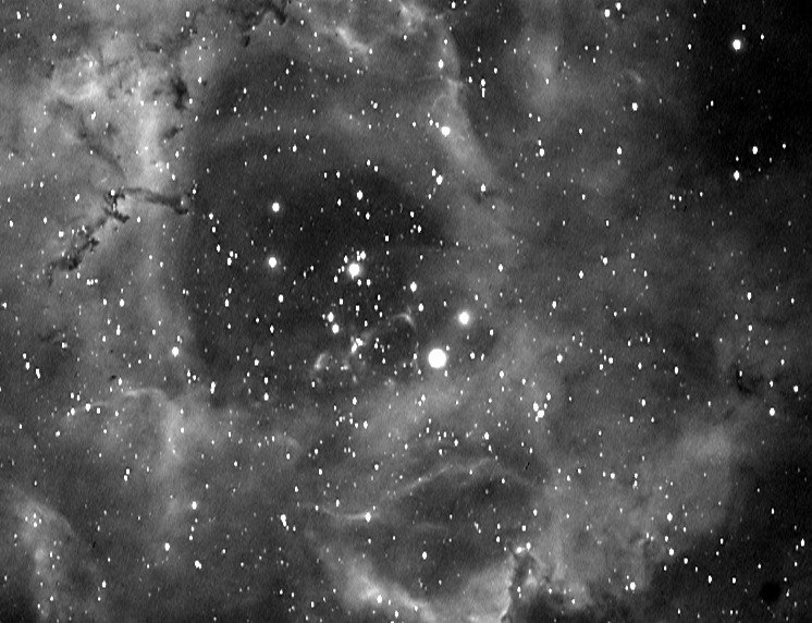 rosette_ 9x300s_-11_filtered.jpg